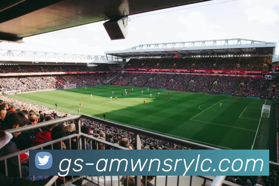 威尼斯人官网服务体系